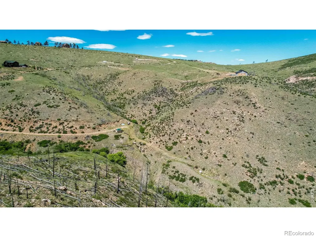 173 Grays Peak Court Livermore CO 80536