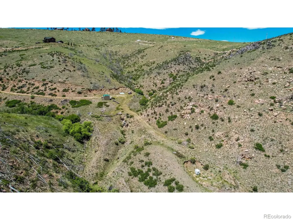 173 Grays Peak Court Livermore CO 80536