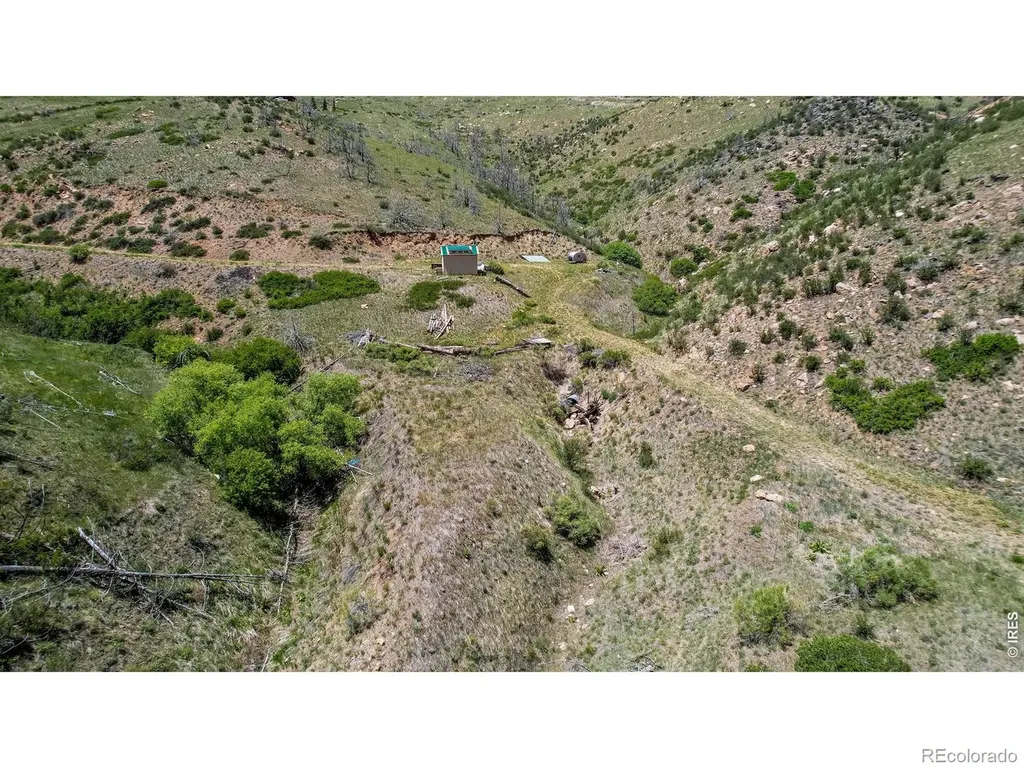 173 Grays Peak Court Livermore CO 80536