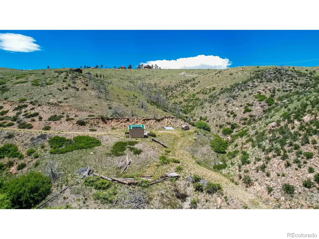 173 Grays Peak Court Livermore CO 80536