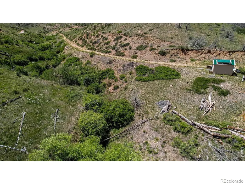 173 Grays Peak Court Livermore CO 80536