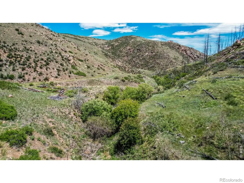 173 Grays Peak Court Livermore CO 80536