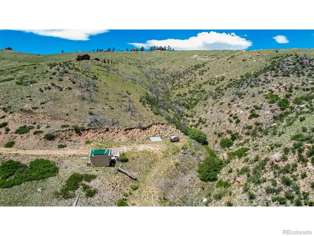173 Grays Peak Court Livermore CO 80536