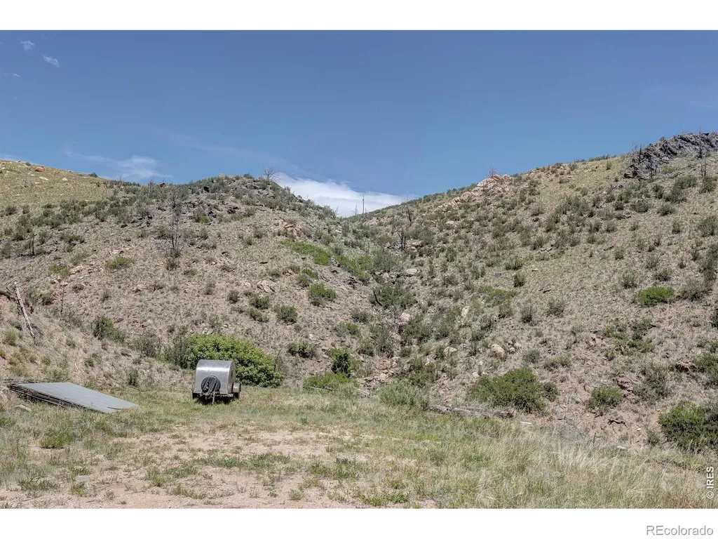 173 Grays Peak Court Livermore CO 80536