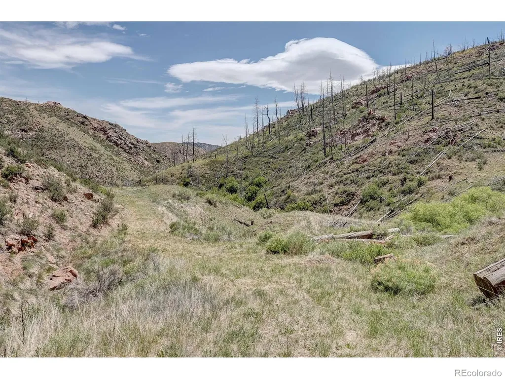 173 Grays Peak Court Livermore CO 80536