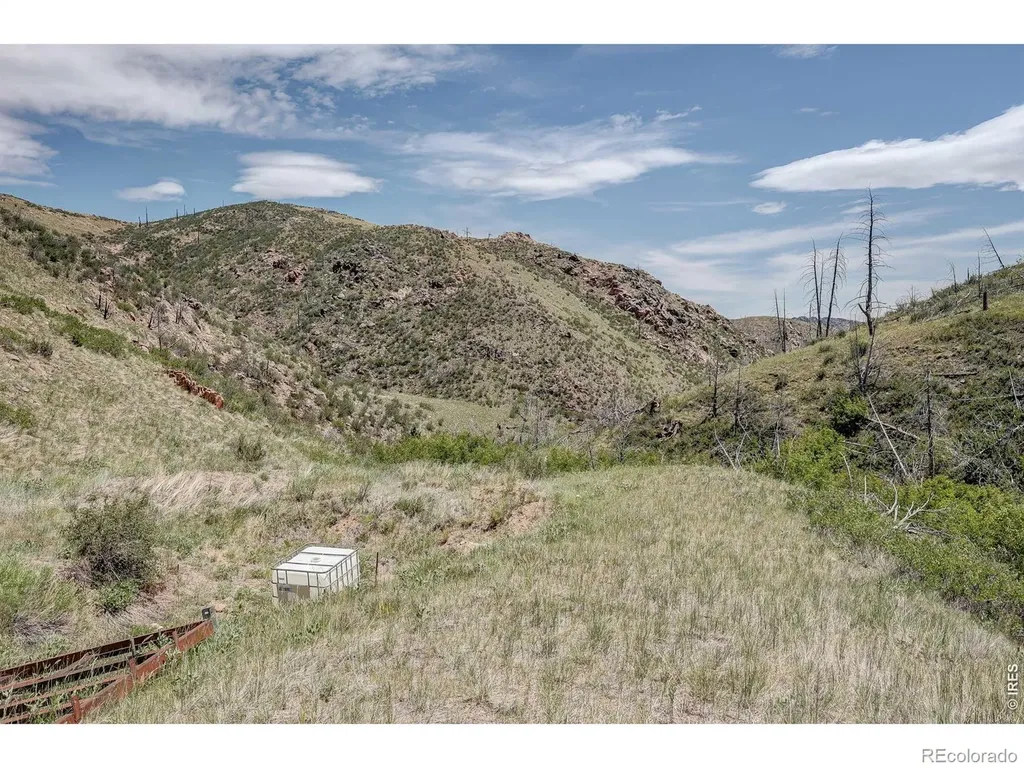 173 Grays Peak Court Livermore CO 80536