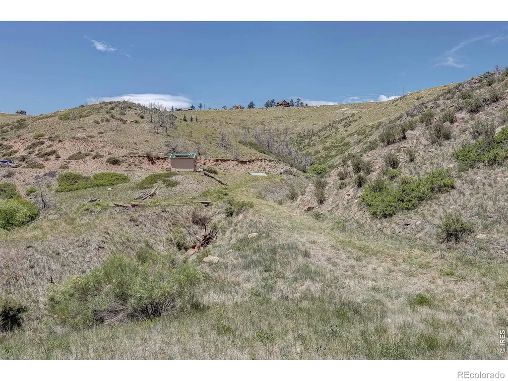 173 Grays Peak Court Livermore CO 80536