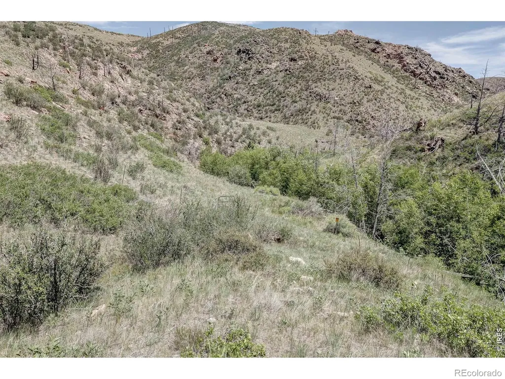 173 Grays Peak Court Livermore CO 80536