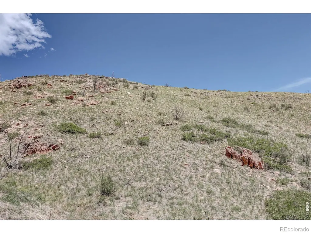 173 Grays Peak Court Livermore CO 80536