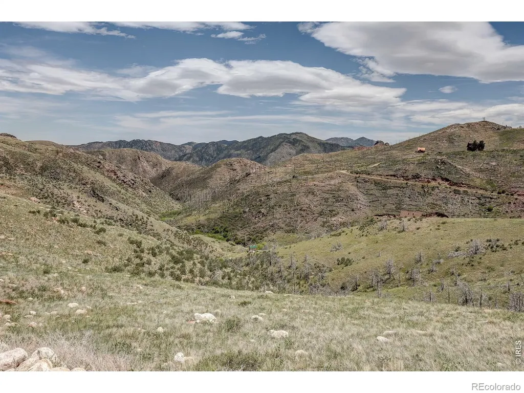 173 Grays Peak Court Livermore CO 80536
