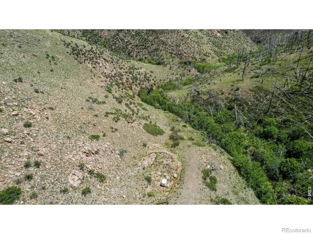 173 Grays Peak Court Livermore CO 80536