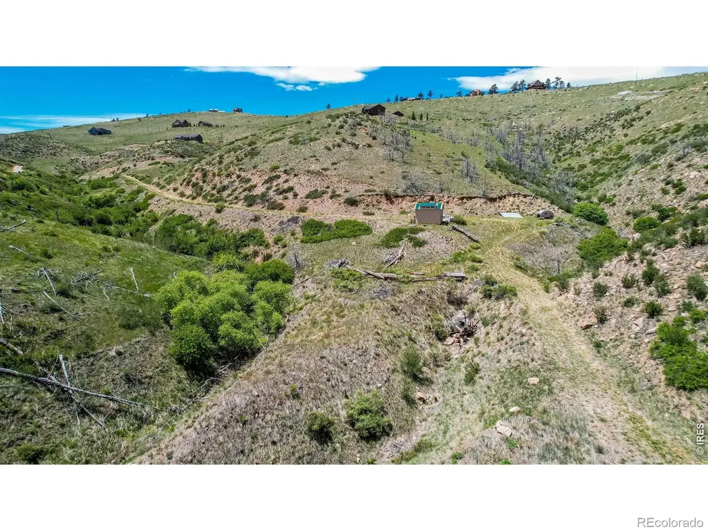 173 Grays Peak Court Livermore CO 80536