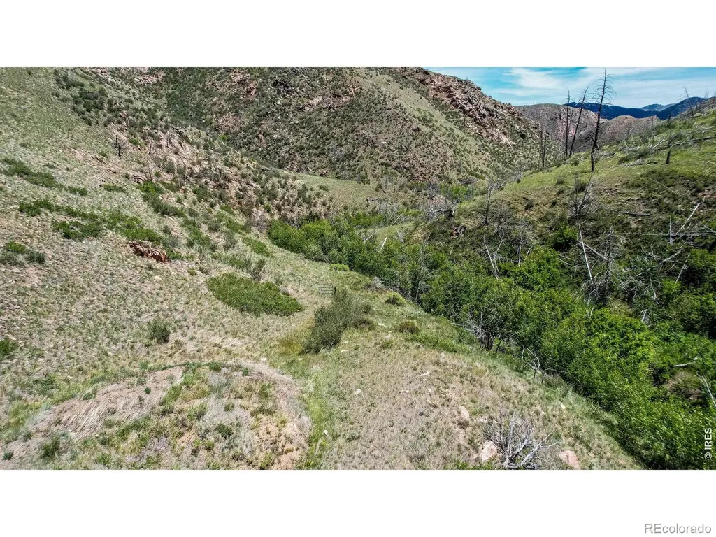 173 Grays Peak Court Livermore CO 80536