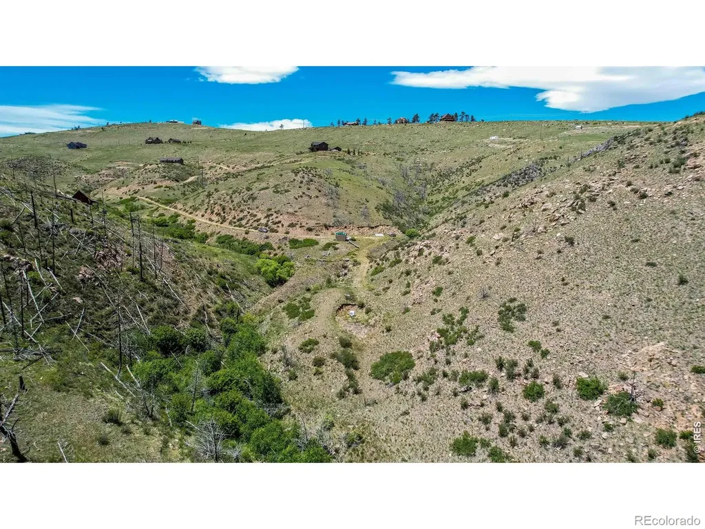 173 Grays Peak Court Livermore CO 80536