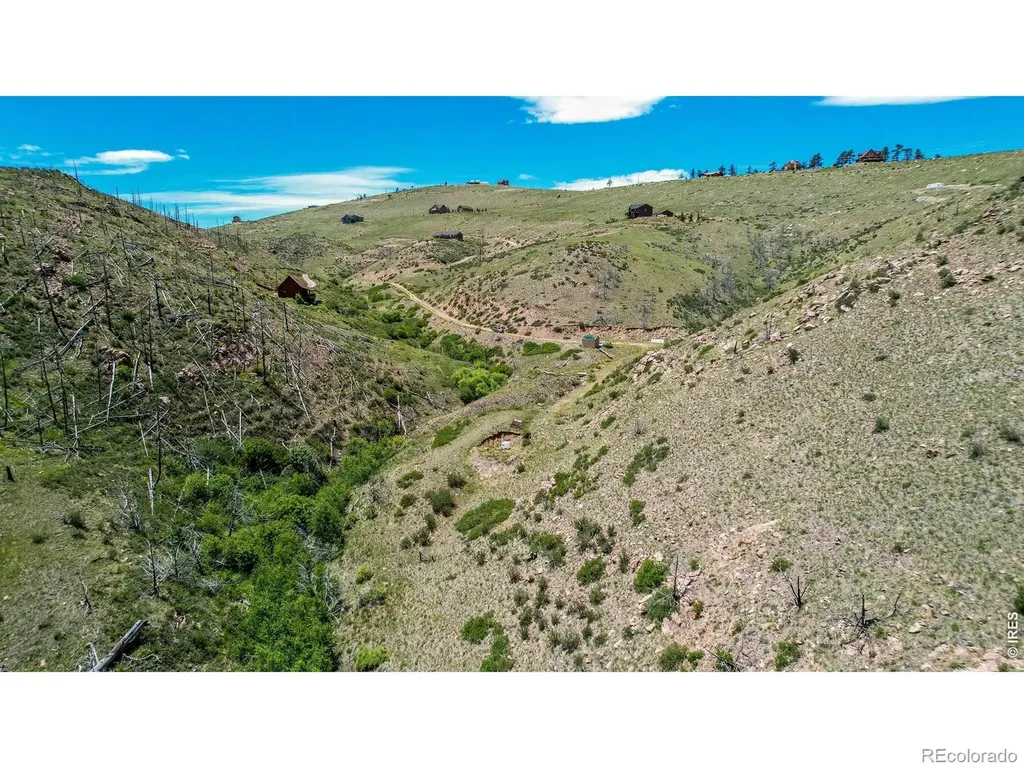 173 Grays Peak Court Livermore CO 80536