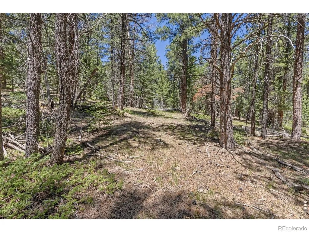 0 Magnolia Drive Nederland CO 80466