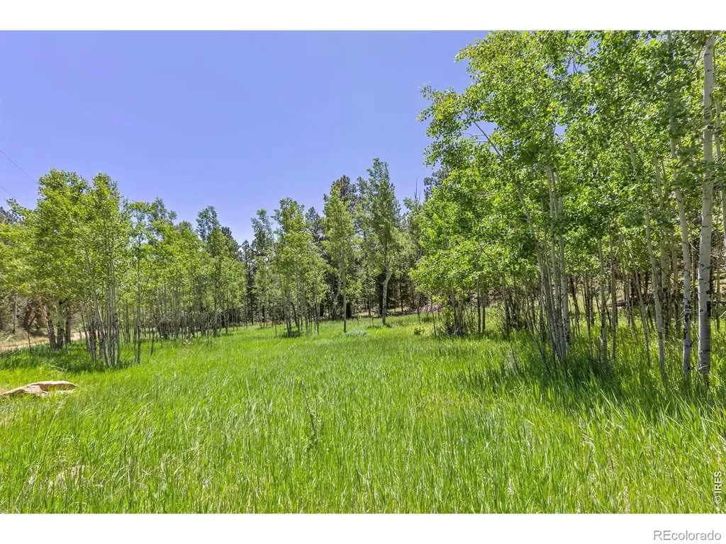 0 Magnolia Drive Nederland CO 80466