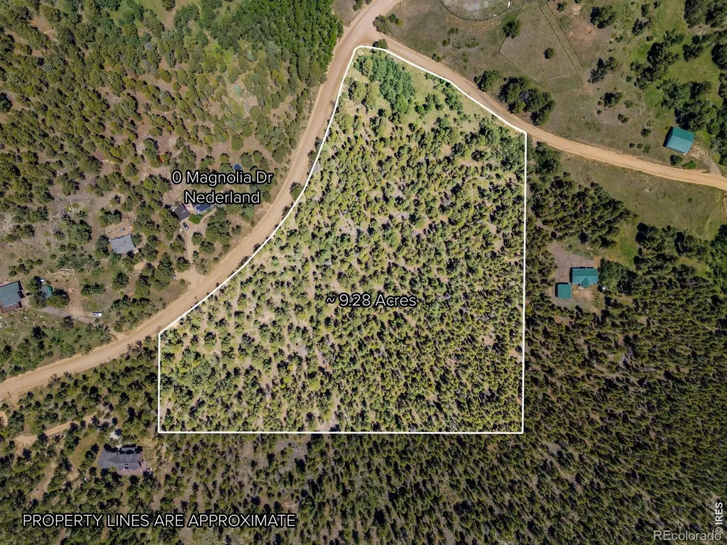0 Magnolia Drive Nederland CO 80466