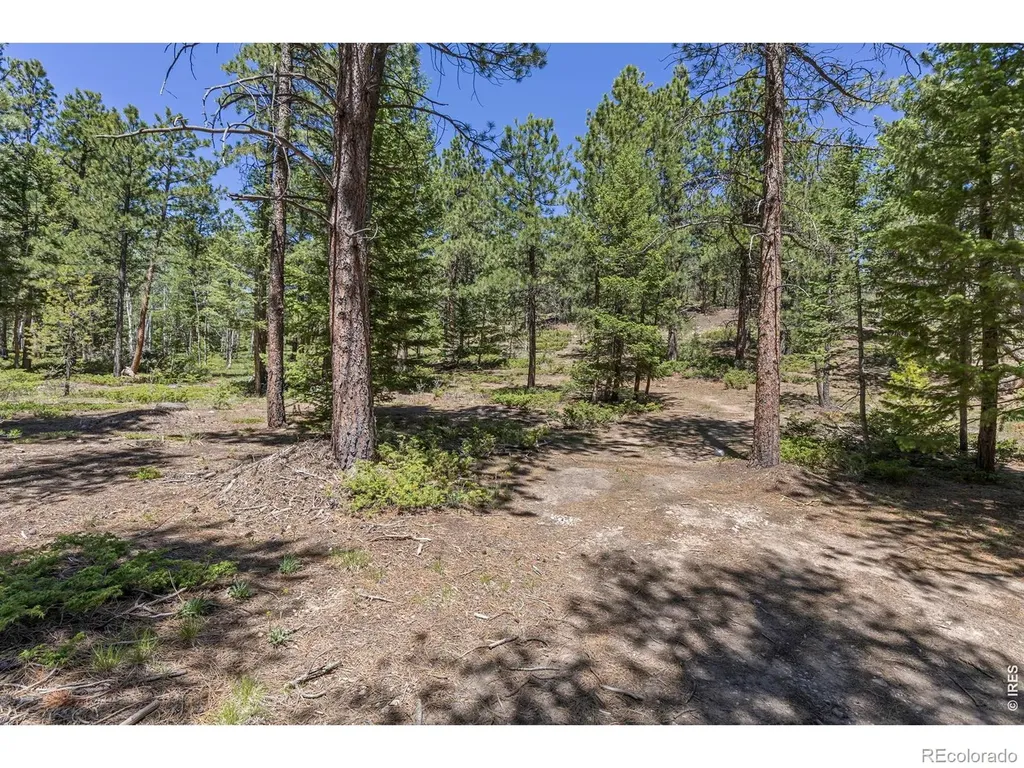 0 Magnolia Drive Nederland CO 80466