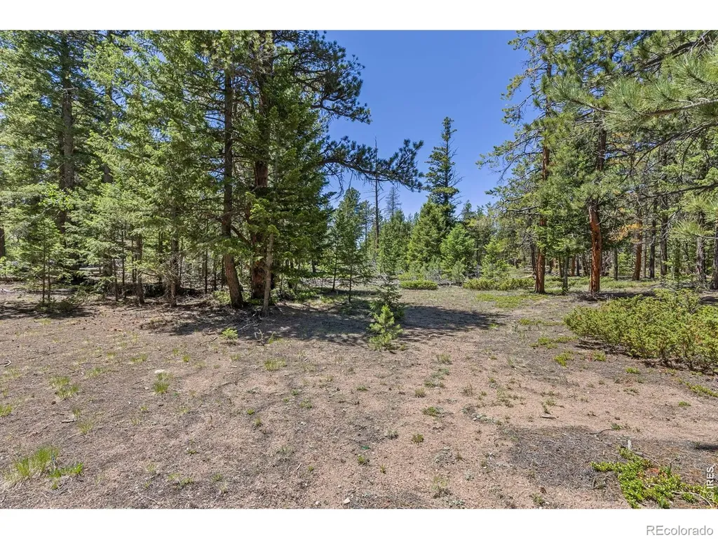 0 Magnolia Drive Nederland CO 80466