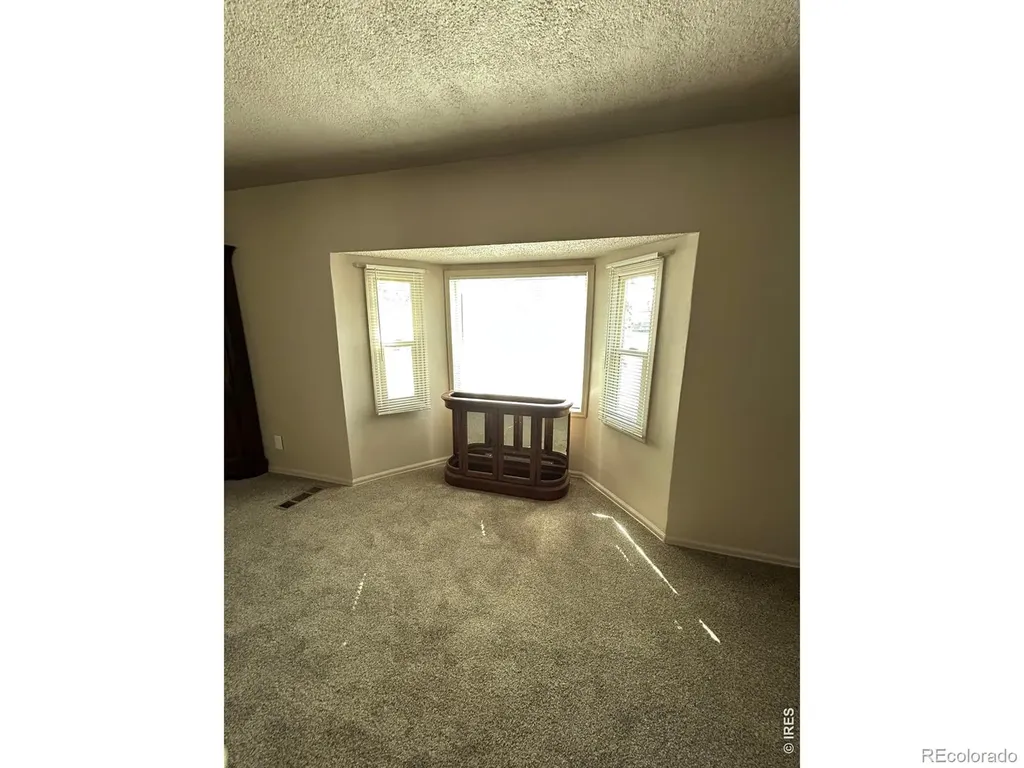 114 Linden Drive Log Lane Village CO 80705
