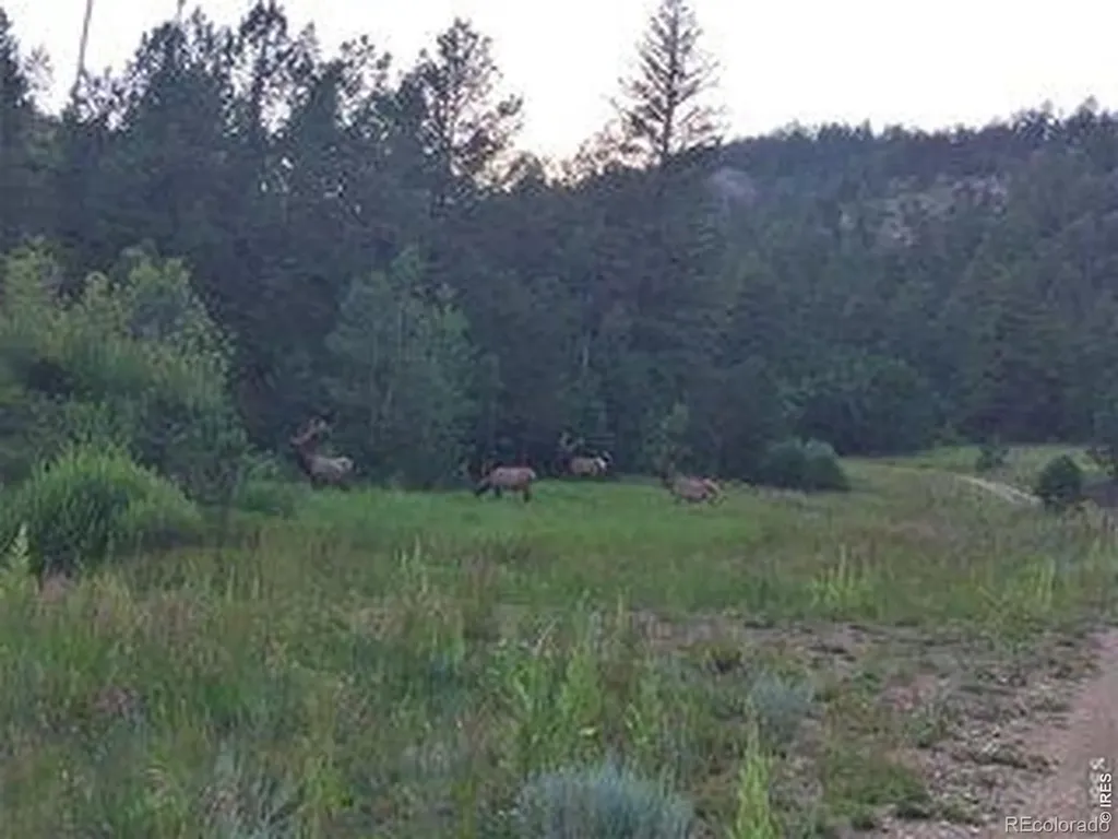 5878 Pole Hill Road Loveland CO 80537