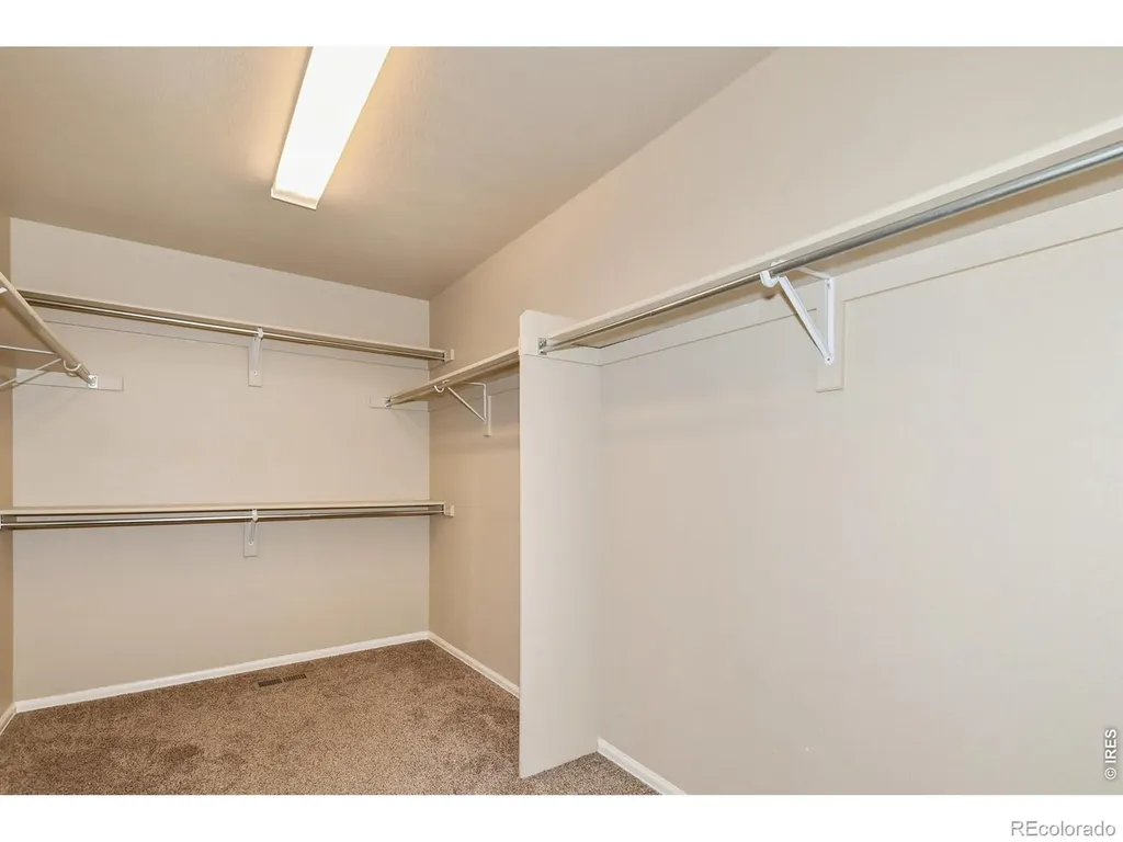 2157 Longfin Drive Windsor CO 80550
