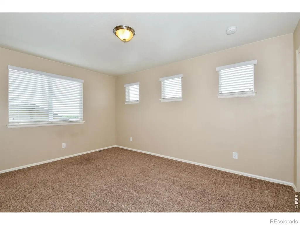 2157 Longfin Drive Windsor CO 80550