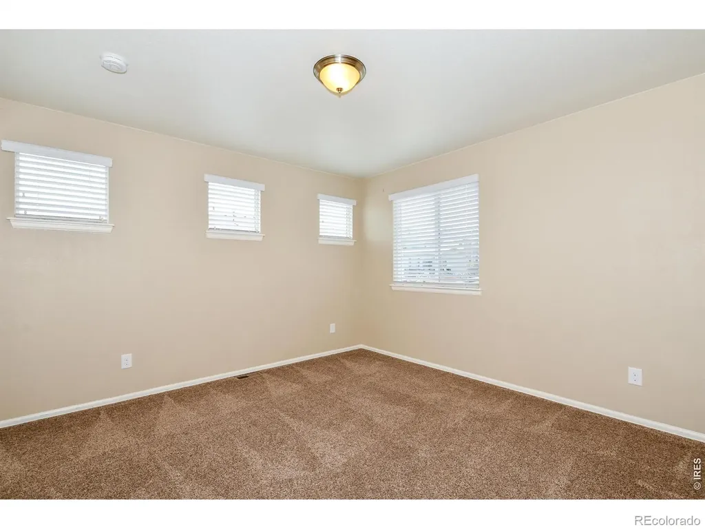 2157 Longfin Drive Windsor CO 80550