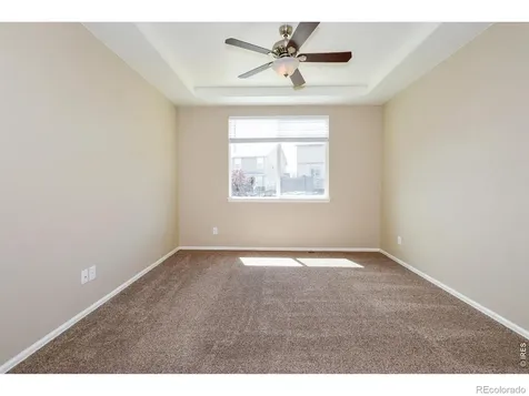 2157 Longfin Drive Windsor CO 80550