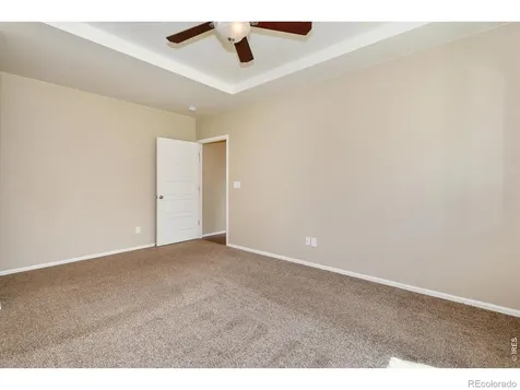 2157 Longfin Drive Windsor CO 80550