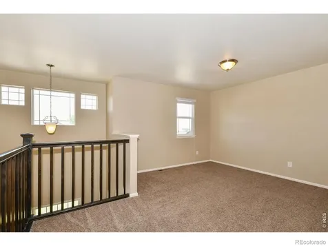 2157 Longfin Drive Windsor CO 80550