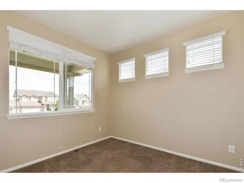 2157 Longfin Drive Windsor CO 80550