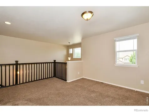 2157 Longfin Drive Windsor CO 80550