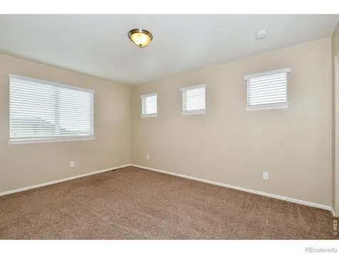 2157 Longfin Drive Windsor CO 80550