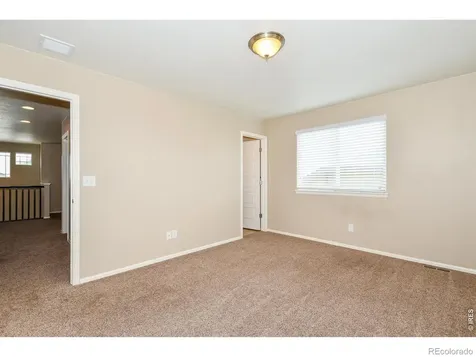 2157 Longfin Drive Windsor CO 80550