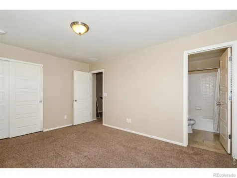 2157 Longfin Drive Windsor CO 80550