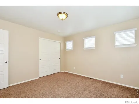2157 Longfin Drive Windsor CO 80550