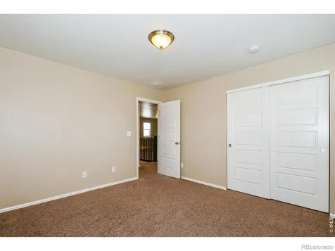 2157 Longfin Drive Windsor CO 80550