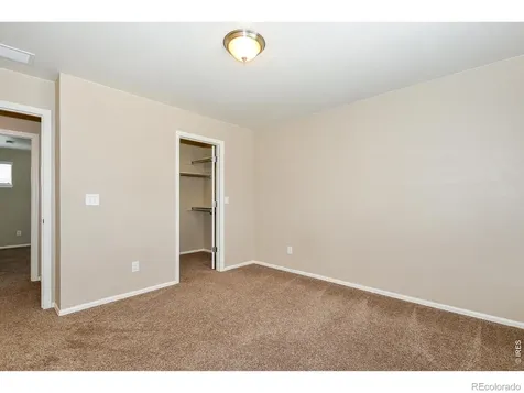 2157 Longfin Drive Windsor CO 80550
