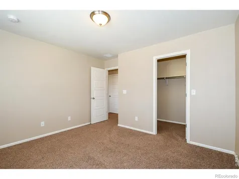 2157 Longfin Drive Windsor CO 80550