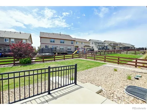 2157 Longfin Drive Windsor CO 80550