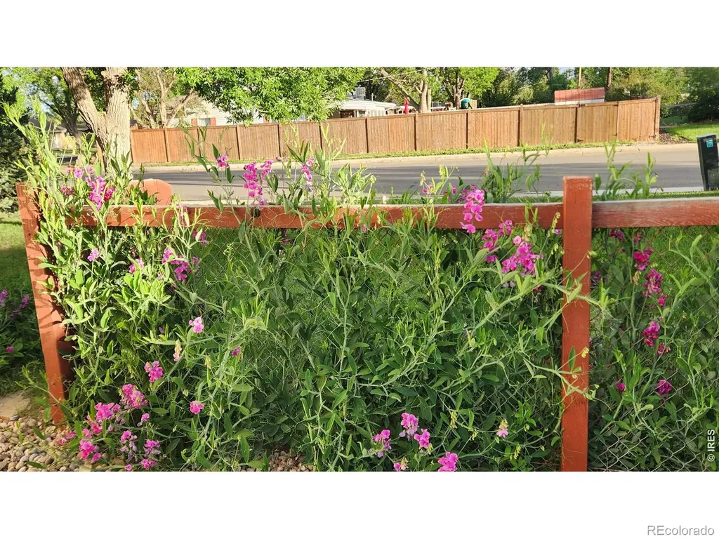 521 W 33rd Street Loveland CO 80538