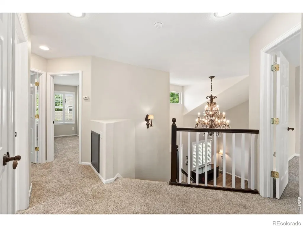 114 Whitney Court Windsor CO 80550