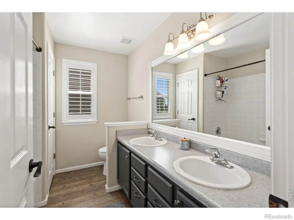 114 Whitney Court Windsor CO 80550