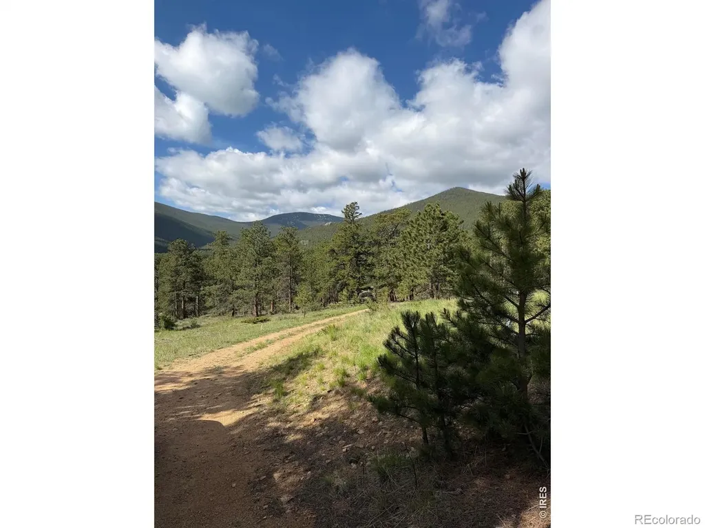 270 E Ski Road Allenspark CO 80510