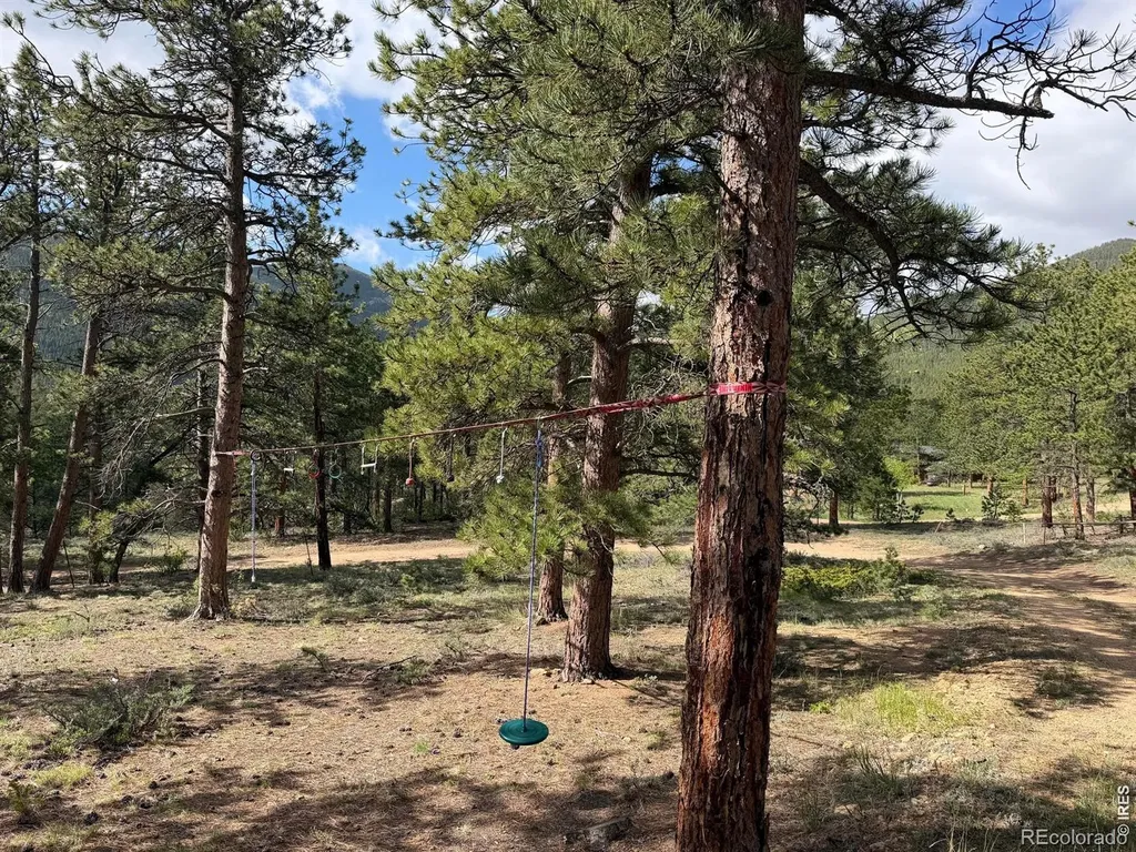 270 E Ski Road Allenspark CO 80510