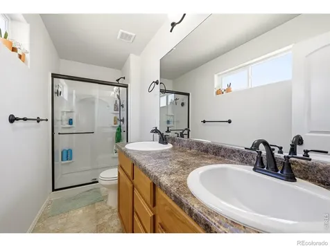 987 Axis Drive Windsor CO 80550