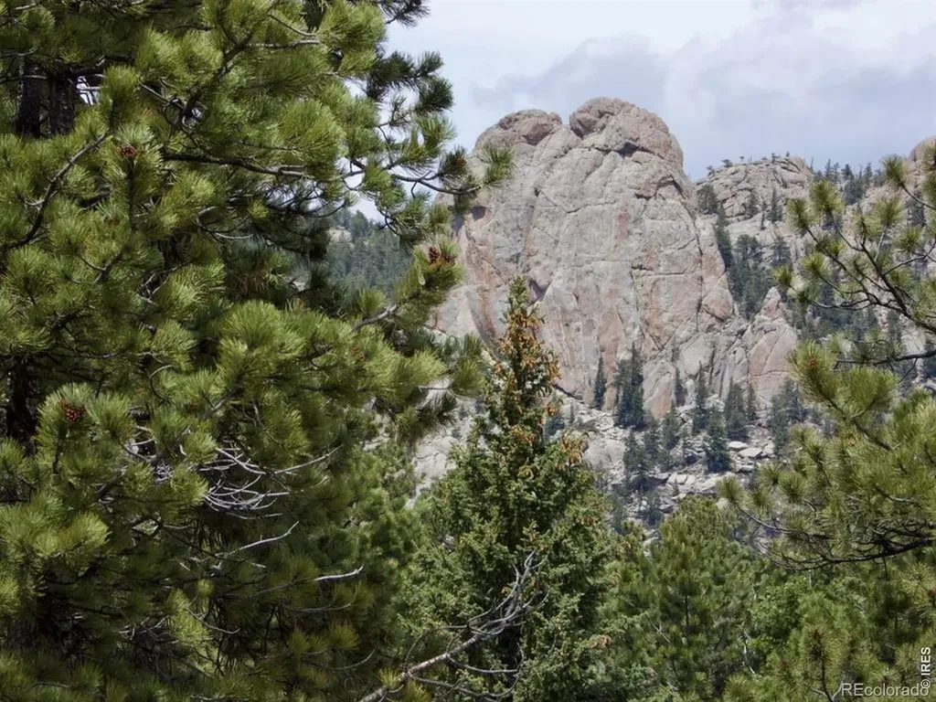 680 Findley Court Estes Park CO 80517