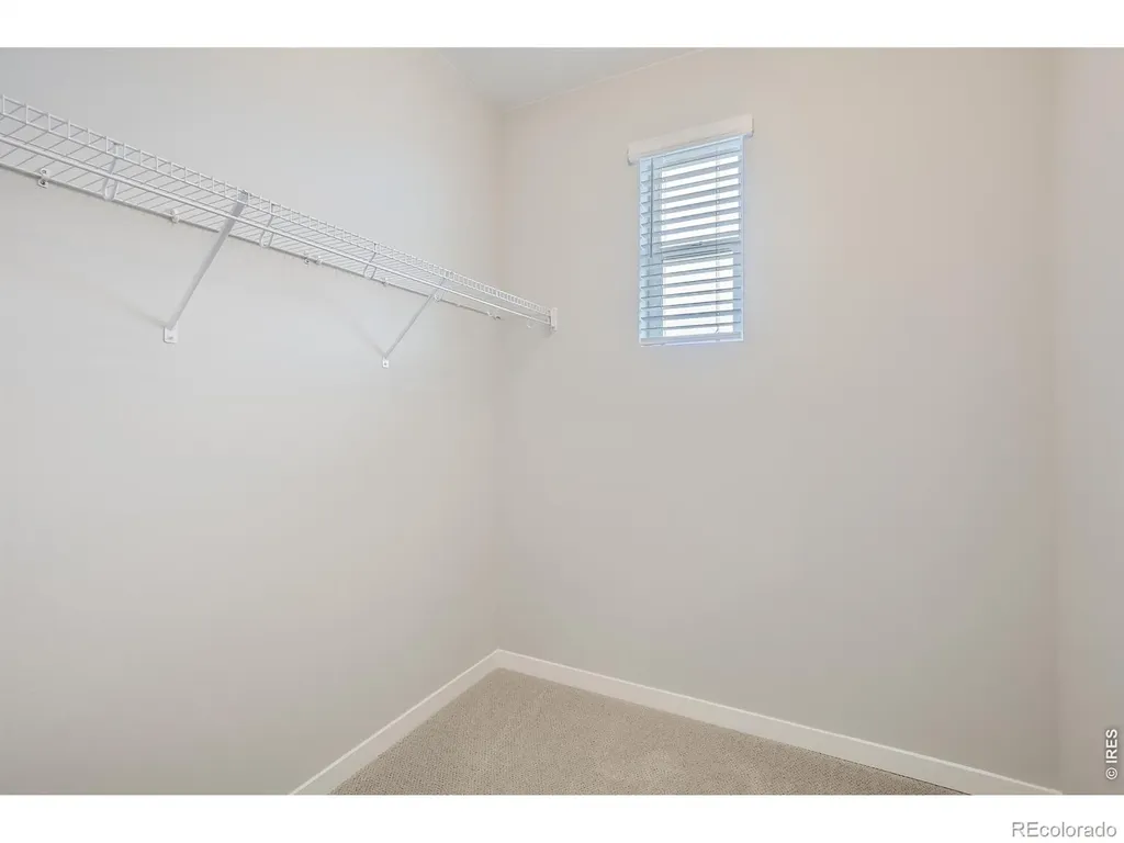 978 Nettle Lane Fort Collins CO 80524